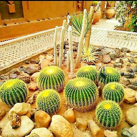 זאגורה Riad Dar Sofian מראה חיצוני תמונה