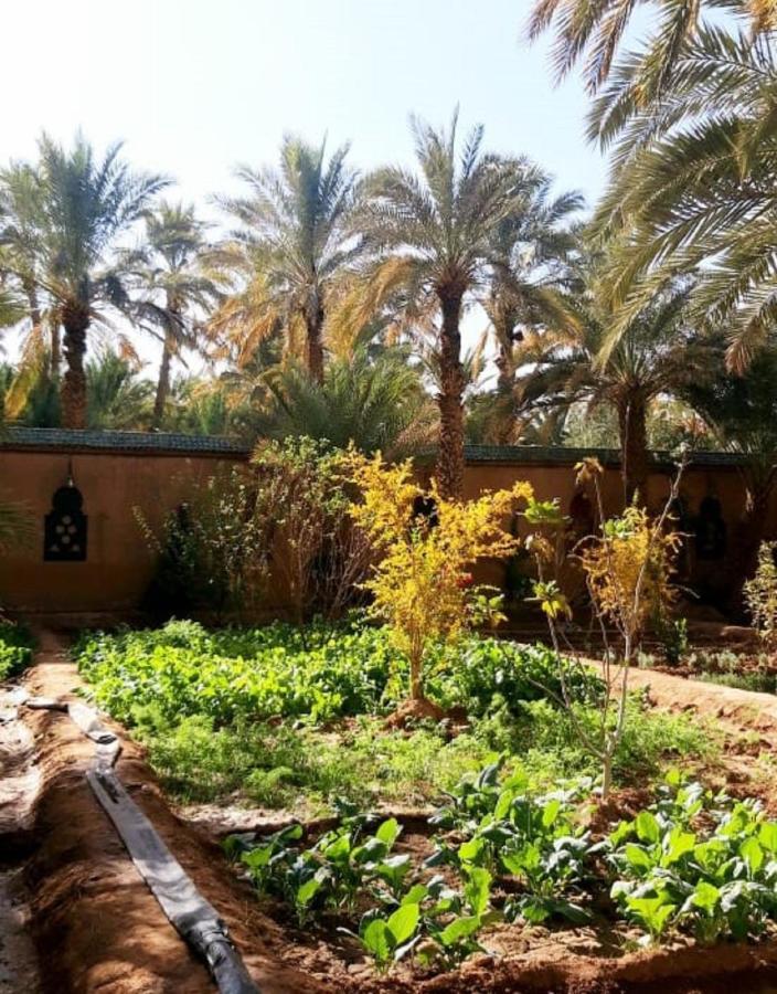 זאגורה Riad Dar Sofian מראה חיצוני תמונה