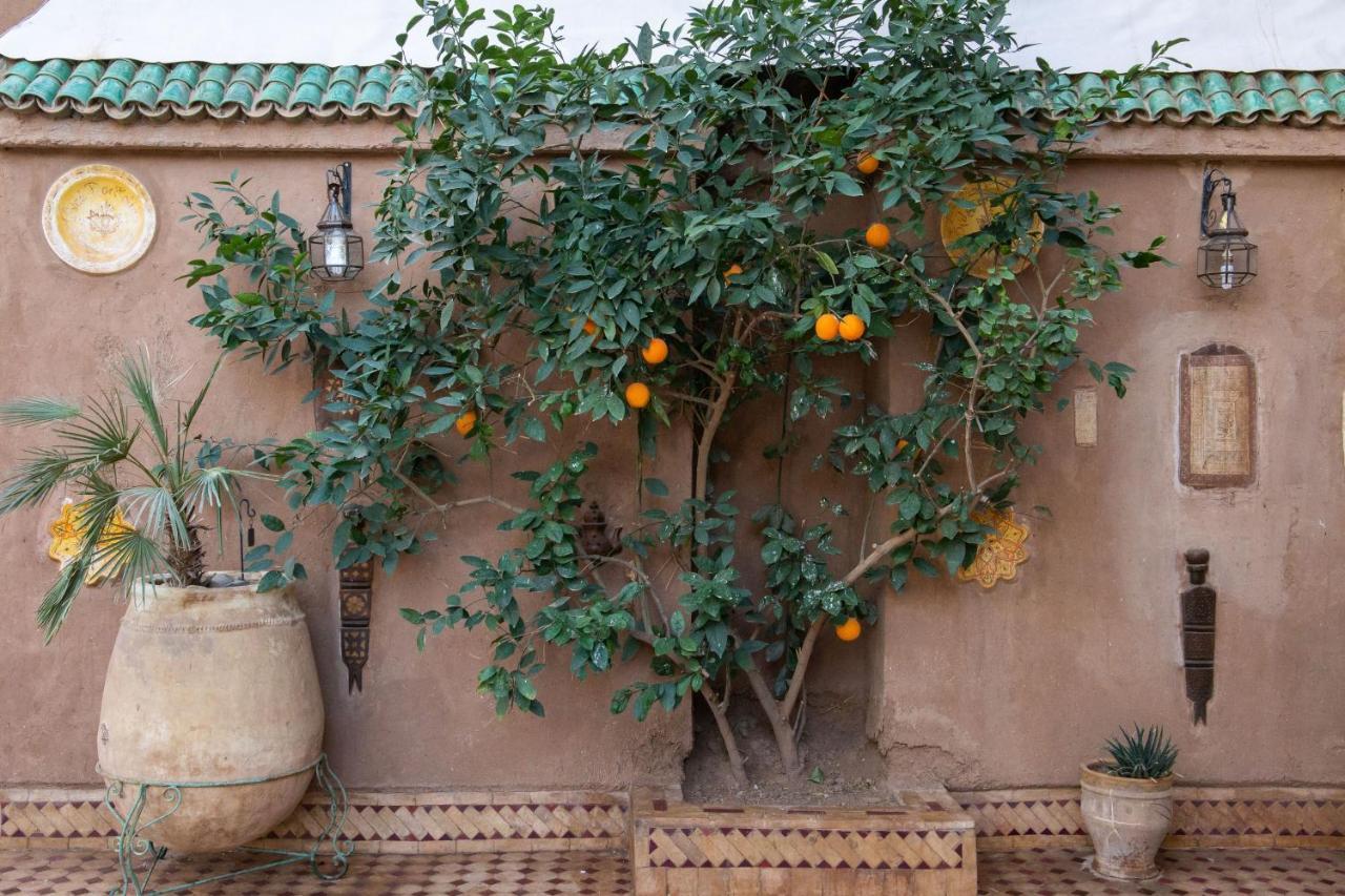זאגורה Riad Dar Sofian מראה חיצוני תמונה